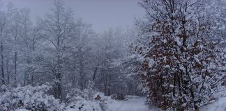 AMSS: Ne kretati na put bez preke potrebe