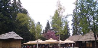 U SLICI I REČI Tara pred prvomajske praznike