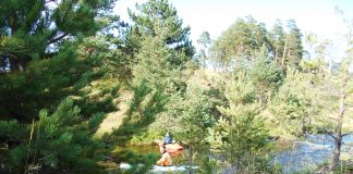 PODSEĆAMO Dan planete zemlje usmeren na OČUVANJE ŽIVOTNE SREDINE NA ZLATIBORU Besplatni pregledi dece