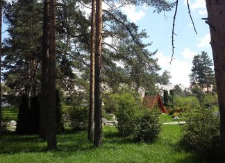 MAJSTORI FOTOGRAFIJE iz Srbije i Makedonije na FOTO-susretu ZLATIBOR 2018 Biće prezentovana najbolja ostvarenja