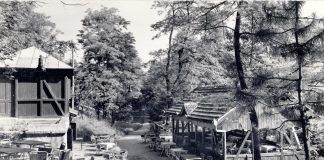 VREME I LJUDI: Risto Tešić, vrsni sajdžija, srpski i užički ekolog