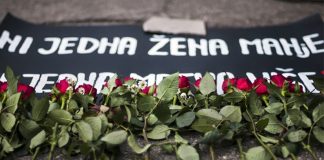 VLADA PRIVILEGUJE USLUGE ZA UČINIOCE NASILJA U odnosu na usluge za žrtve nasilja