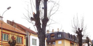 Da li će nemačka kompanija AUTO KABEL poslovati u KOSJERIĆU