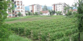 SRPSKA MALINA I VILAMET Najavili veliki MITING u Arilju u petak