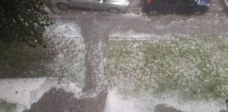 GRADSKI ŠTAB ZA VANREDNE SITUACIJE Formirana komisija za štetu nastalu u poljoprivredi