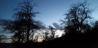 VREME Kiša i hladno do nedelje, a onda postepena stabilizacija