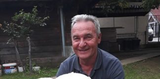 DŽINOVSKI PURAK Na Tari pronašao gljivu tešku šest kilograma