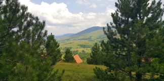 ZLATIBORSKO KULTURNO LETO predstavljeno na Palama