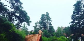 ZLATIBOR NA PALAMA I JAHORINI Promocija pred letnju sezonu