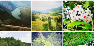 INTERNACIONALNI FESTIVAL INTERFER Konkurs za najbolju reportažu