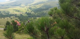 DOBROSELICA Spomen obeležje izginulim u JAVORSKOM I PRVOM SVETSKOM RATU