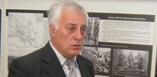 INTERVJU RADIVOJE PAPIĆ, istoričar SLAVNE BITKE UŽIČKE VOJSKE