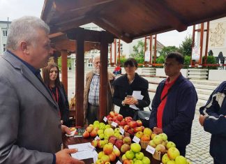 Prvi JABUKA FEST za život požeške BUDIMKE