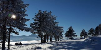ZLATIBOR MEĐU NAJPOSEĆENIJIM DESTINACIJAMA u zemlji