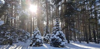 TORNIK Otvaranje zimske sezone