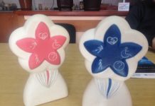 KONKURS za novinarsku nagradu „Cvet jednakosti“