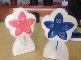 KONKURS za novinarsku nagradu „Cvet jednakosti“