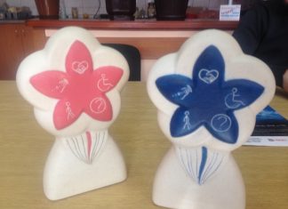 KONKURS za novinarsku nagradu „Cvet jednakosti“