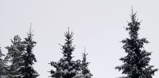 ZA VIKEND OSETNO TOPLIJE Bez jakih mrazeva u februaru