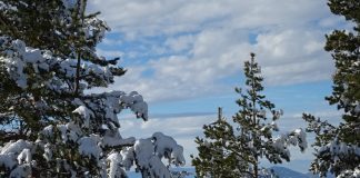 VANREDNO STANJE ZBOG SNEGA U ARILJU I POŽEGI Ranije proglašeno u Novoj Varoši
