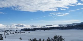 ŽRTVA MRAZA KOD PRIJEPOLJA Žena preminula od posledica smrzavanja
