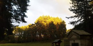 U ČAJETINI UTVRĐENE TEME OD JAVNOG INTERESA