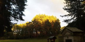 UVODI SE POREZ NA PRIHODE OD SEOSKOG TURIZMA Podnošenje poreskih prijava od maja