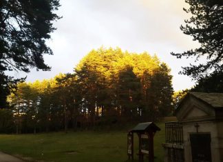 UVODI SE POREZ NA PRIHODE OD SEOSKOG TURIZMA Podnošenje poreskih prijava od maja
