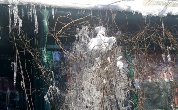 VREME NAREDNIH DANA Hladnije sa padavinama