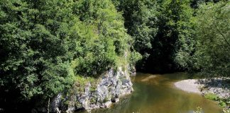 PROJEKAT NeoLIFE Realizovaće više partnera iz Srbije i Bosne i Hercegovine