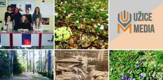 PRAVEDNE NAKNADE SHODNO AUTORSKIM PRAVIMA