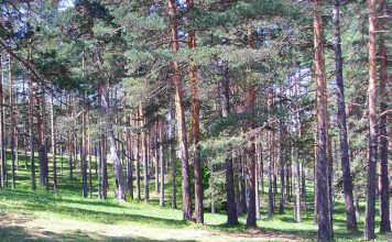 „ZLATIBOR MONA“ PRVI SRPSKI ZELENI HOTEL