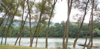 KARNEVAL NA VODI – DRINSKA REGATA U BAJINOJ BAŠTI