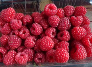 OSTAVKA PREDSEDNICE SKUPŠTINE UDRUŽENJA MALINARA UŽICE SLAĐANE STANKOVIĆ