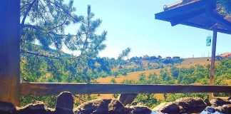 ZLATIBOR: Prvenstvo Srbije u orijentiringu