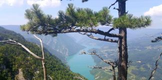 SAT ZA NAŠU PLANETU U UŽICU Ugasite svetla u svojim domovima u subotu na sat vremena