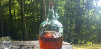 „ŽESTIVAL 2022“ Festival prirode i kulturnog nasleđa