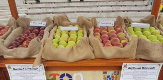 POŽEŠKA BUDIMKA I DALJE BEZ NOVOG VLASNIKA