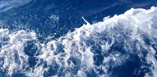 O MINULOM LETOVANJU Srbi i van sezone masovno posećuju Bar