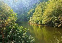 VLADAN SINĐIĆ, Libergraf Zeleni plan za bezbrižan dan