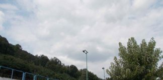 POŠUMLJAVANJE Velikog parka i Belog groblja