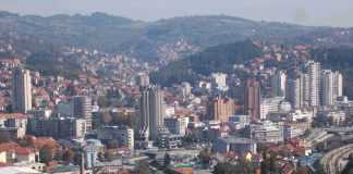 NOVOGODIŠNJA ČESTITKA Dr Jelene Raković Radivojević