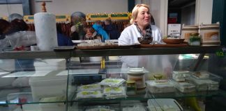 INTERVJU Prof. dr Nikola Bajić ZLATNI RUDNIK SRBIJE JE U ORGANSKOJ POLJOPRIVREDI