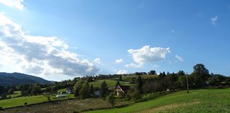 ZDRAVLJE NEMA CENU: ORGANSKO – UŽIČKO JE!