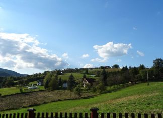 ZDRAVLJE NEMA CENU: ORGANSKO – UŽIČKO JE!