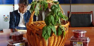 VEDSKA POLJOPRIVREDA Unapređenje zdravlja čoveka, zemljišta i okruženja