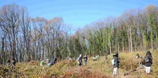 Velika ekološka akcija Delegacije EU i EXIT fondacije „ZELENA Я:EVOLUCIJA“