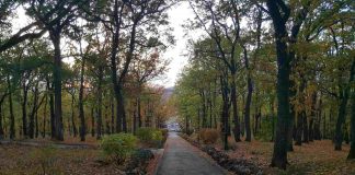 OVE ZIME Manje snega nego prošle godine