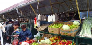 Anketa: ORGANSKA PROIZVODNJA IMA BUDUĆNOST, NEDOSTAJU ZNANJE I PODSTICAJI