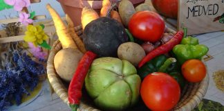 PRIMERI DOBRE PRAKSE – Organska bašta unosan biznis